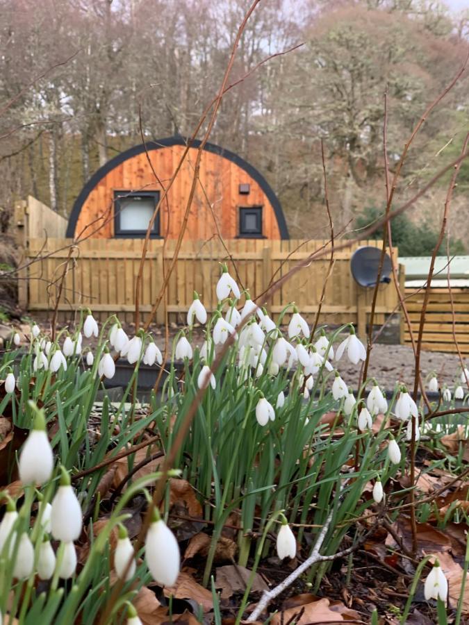 Loch Ness Woodland Pods Hotel Drumnadrochit Exterior photo